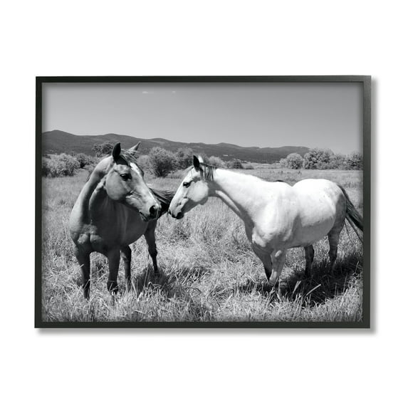 Stupell Industries Two Horses Photography Landscape Photography Black Framed Art Print Wall Art, 14 x 11