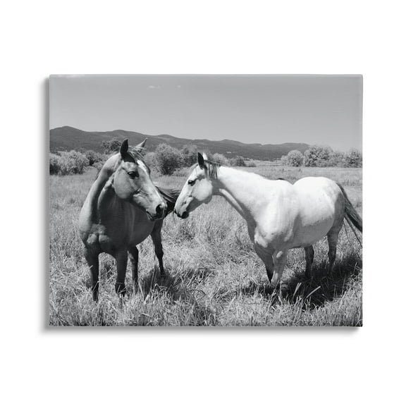 Stupell Industries Two Horses Photography Landscape Photography Gallery Wrapped Canvas Art Print Wall Art, 40 x 30