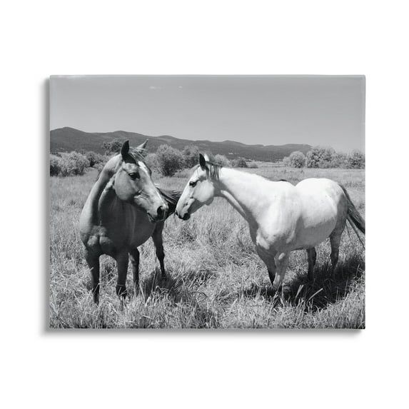 Stupell Industries Two Horses Photography Landscape Photography Gallery Wrapped Canvas Art Print Wall Art, 48 x 36