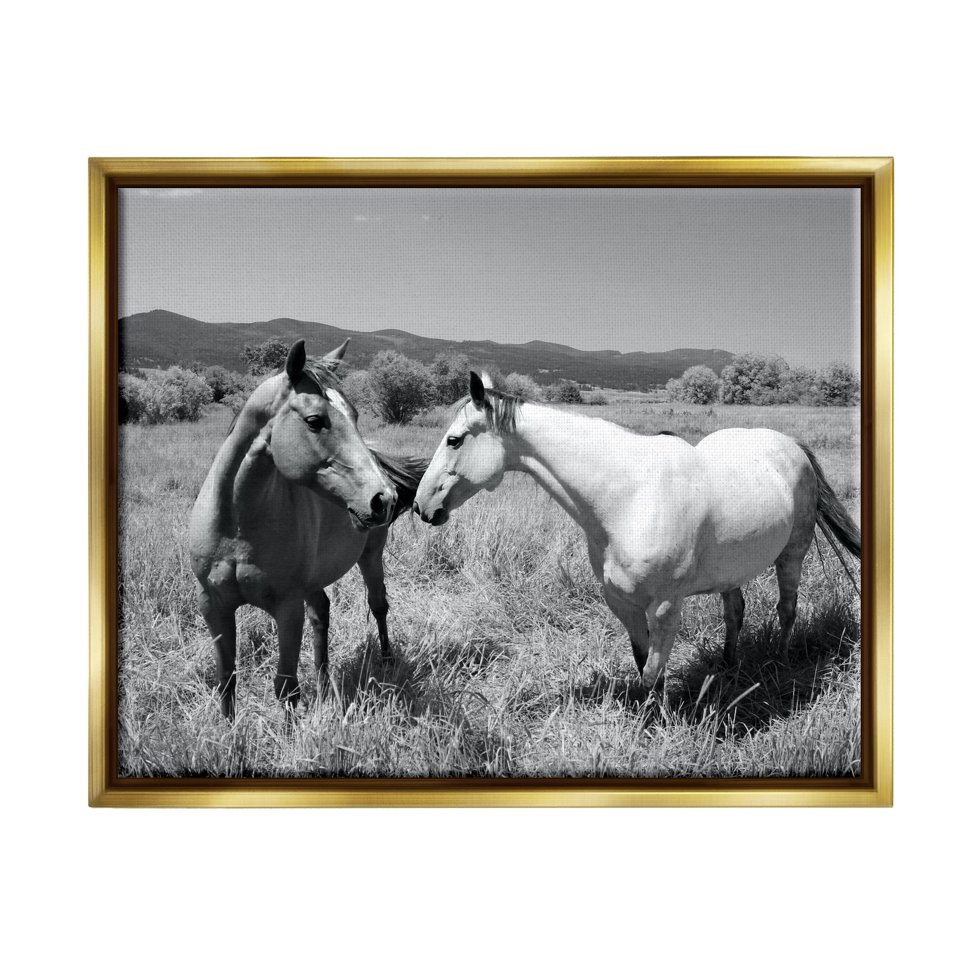 Gold Framed Black and White Horse Landscape Canvas Print