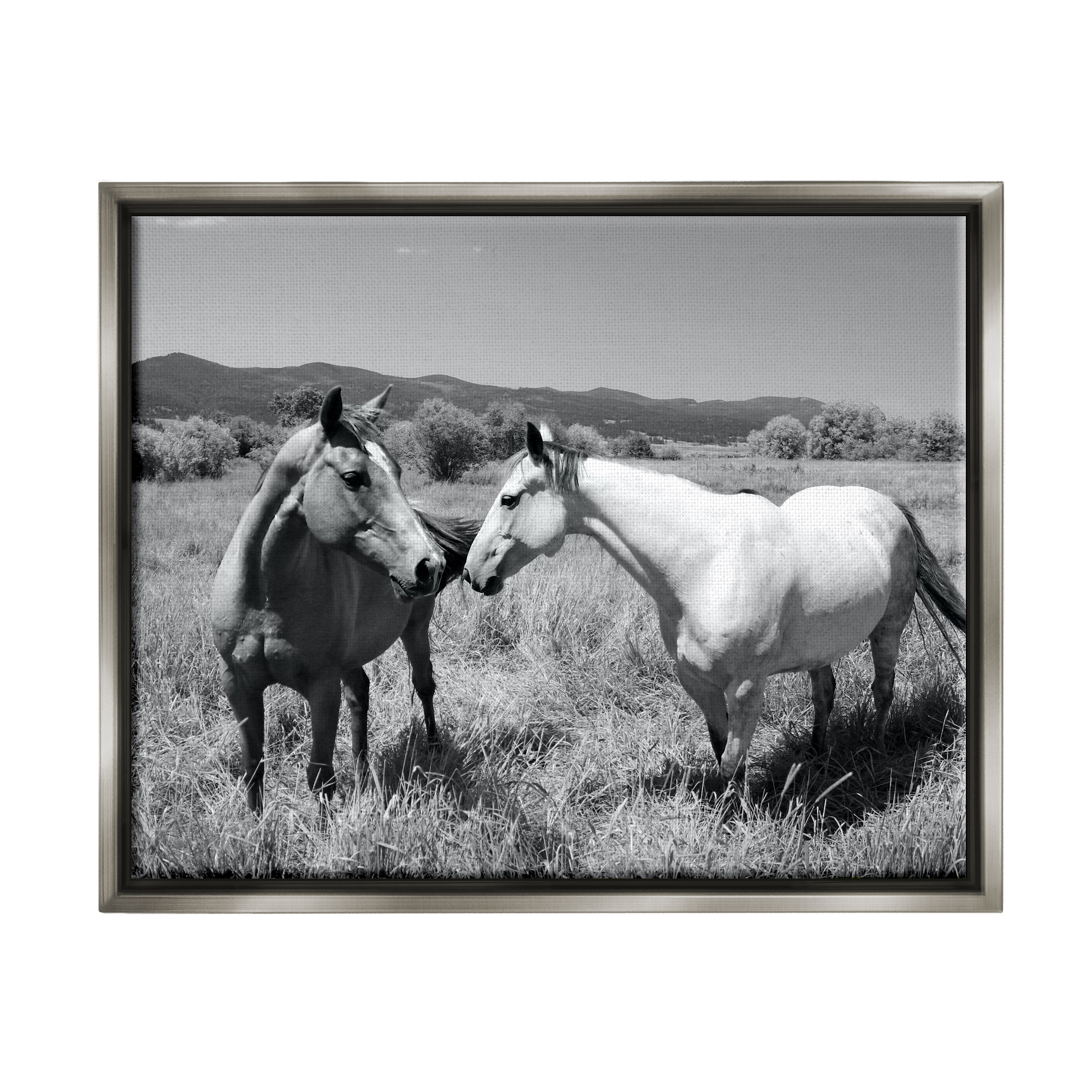 Stupell Industries Two Horses Photography Landscape Photography Gray Floater Framed Canvas Art Print Wall Art, 31 x 25