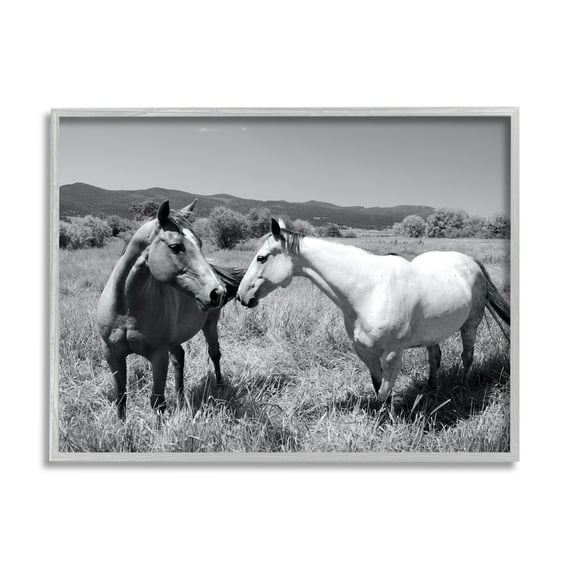 Stupell Industries Two Horses Photography Landscape Photography Gray Framed Art Print Wall Art, 14 x 11