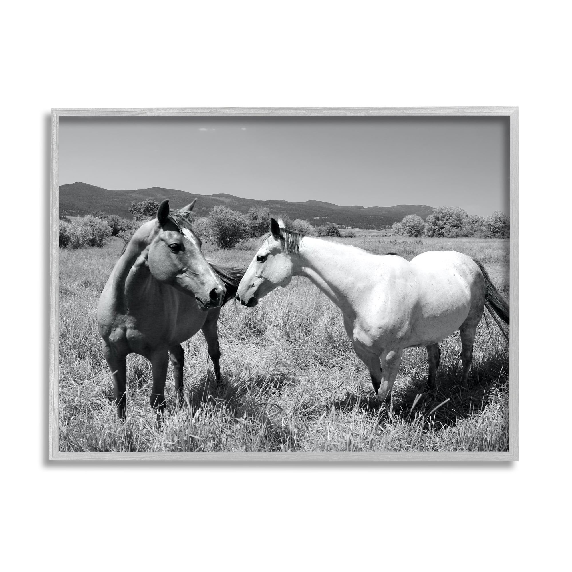 Stupell Industries Two Horses Photography Landscape Photography Gray Framed Art Print Wall Art, 30 x 24