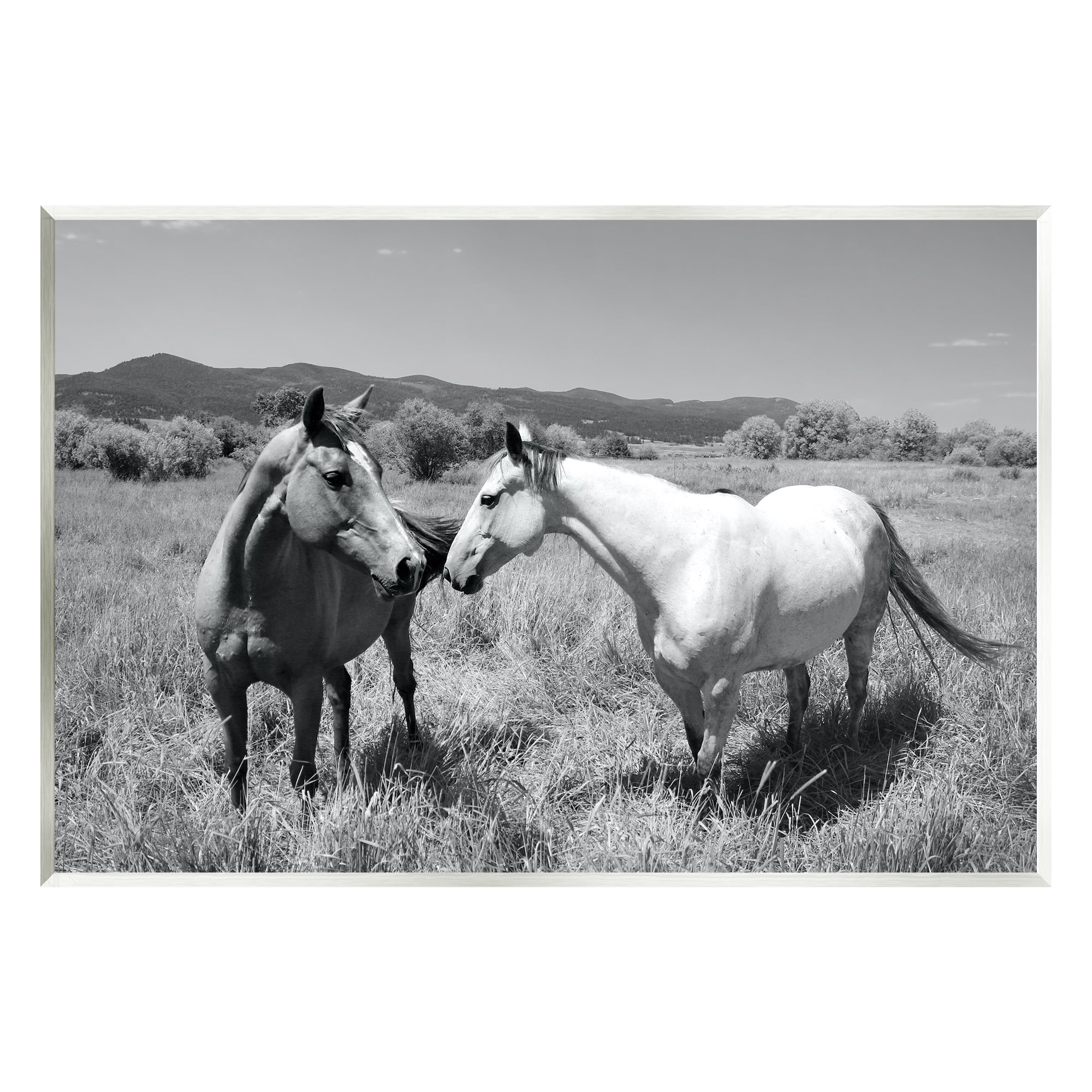 Stupell Industries Two Horses Photography Landscape Photography Unframed Art Print Wall Art, 19 x 13