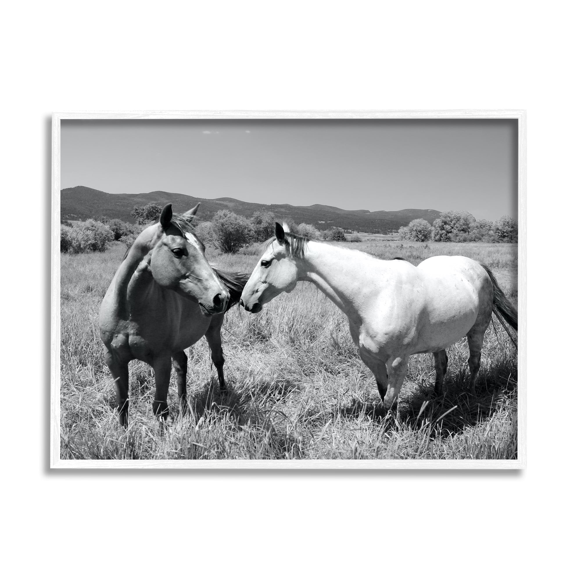 Stupell Industries Two Horses Photography Landscape Photography White Framed Art Print Wall Art, 20 x 16