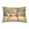 thumbnail image 1 of Stupell Industries Two Jumping Kangaroos Decorative Printed Throw Pillow, 14 x 20, 1 of 8