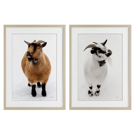 Stupell Industries Two Little Goats 2 Piece Birch Framed Print Under Glass Set design by Deborah Revell, 23 x 17