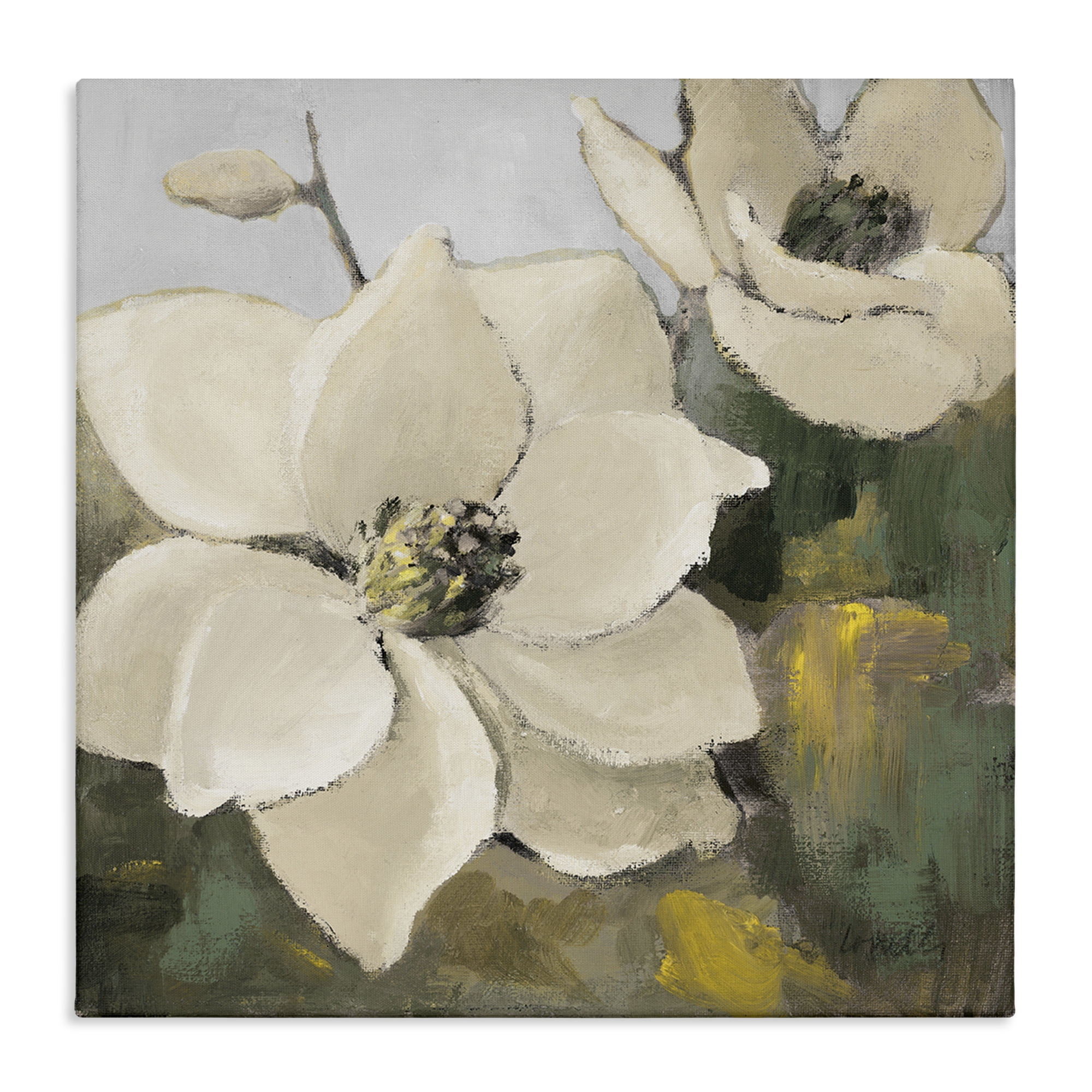 Stupell Industries Two Magnolia Blossoms Botanical & Floral Painting Gallery Wrapped Canvas Art Print Wall Art, 36 x 36