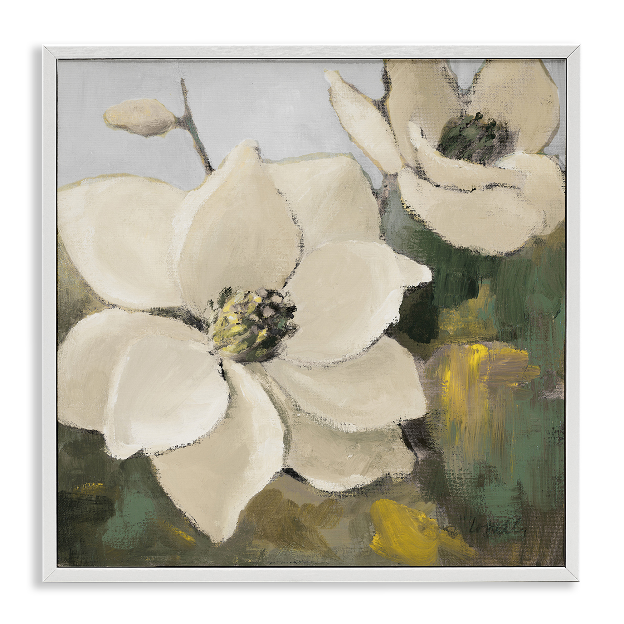 Stupell Industries Two Magnolia Blossoms Botanical & Floral Painting White Framed Art Print Wall Art, 12 x 12