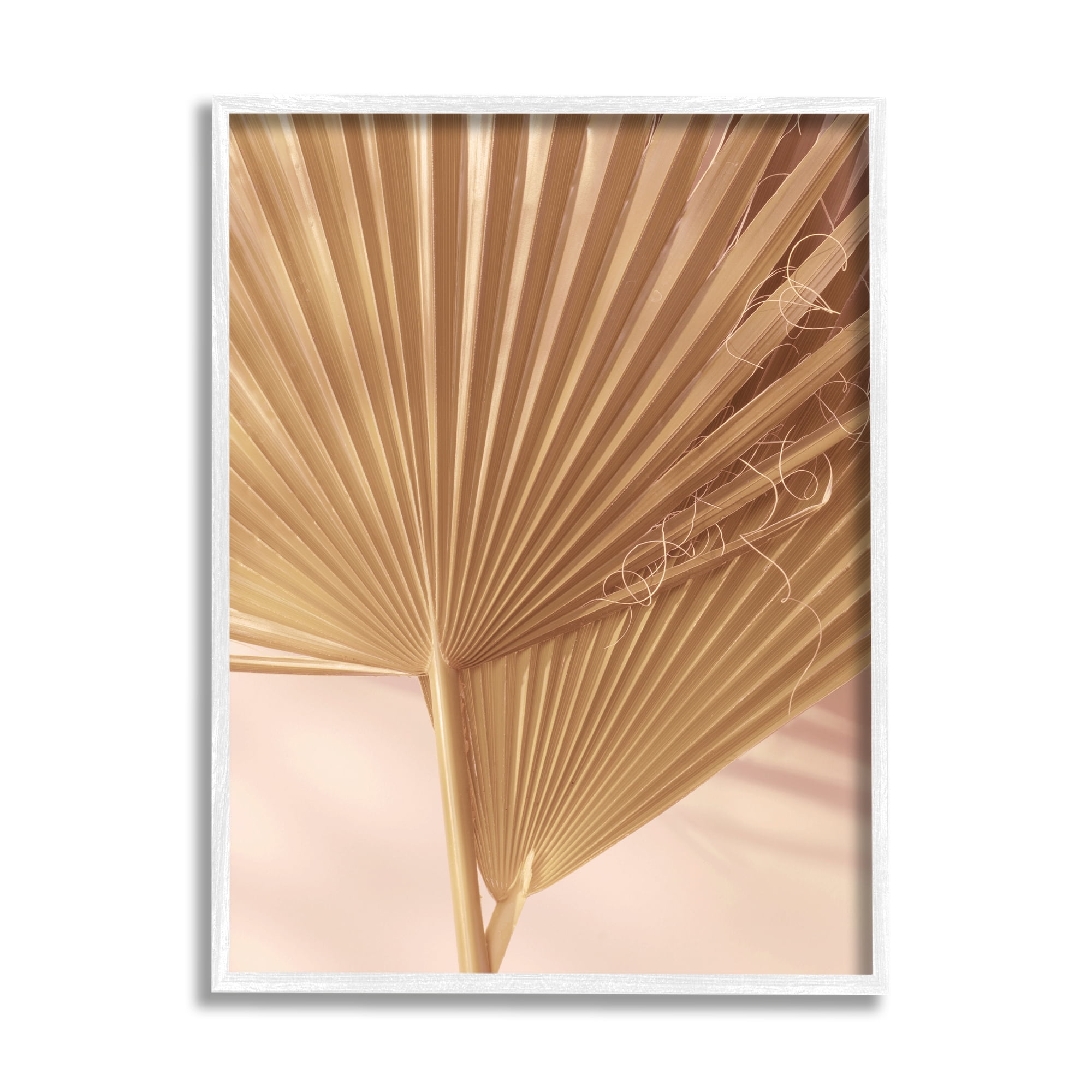 Stupell Industries Two Palm Fronds Sun Bleached Photography Tropical Plants, 11 x 14, Design by Ian Winstanley