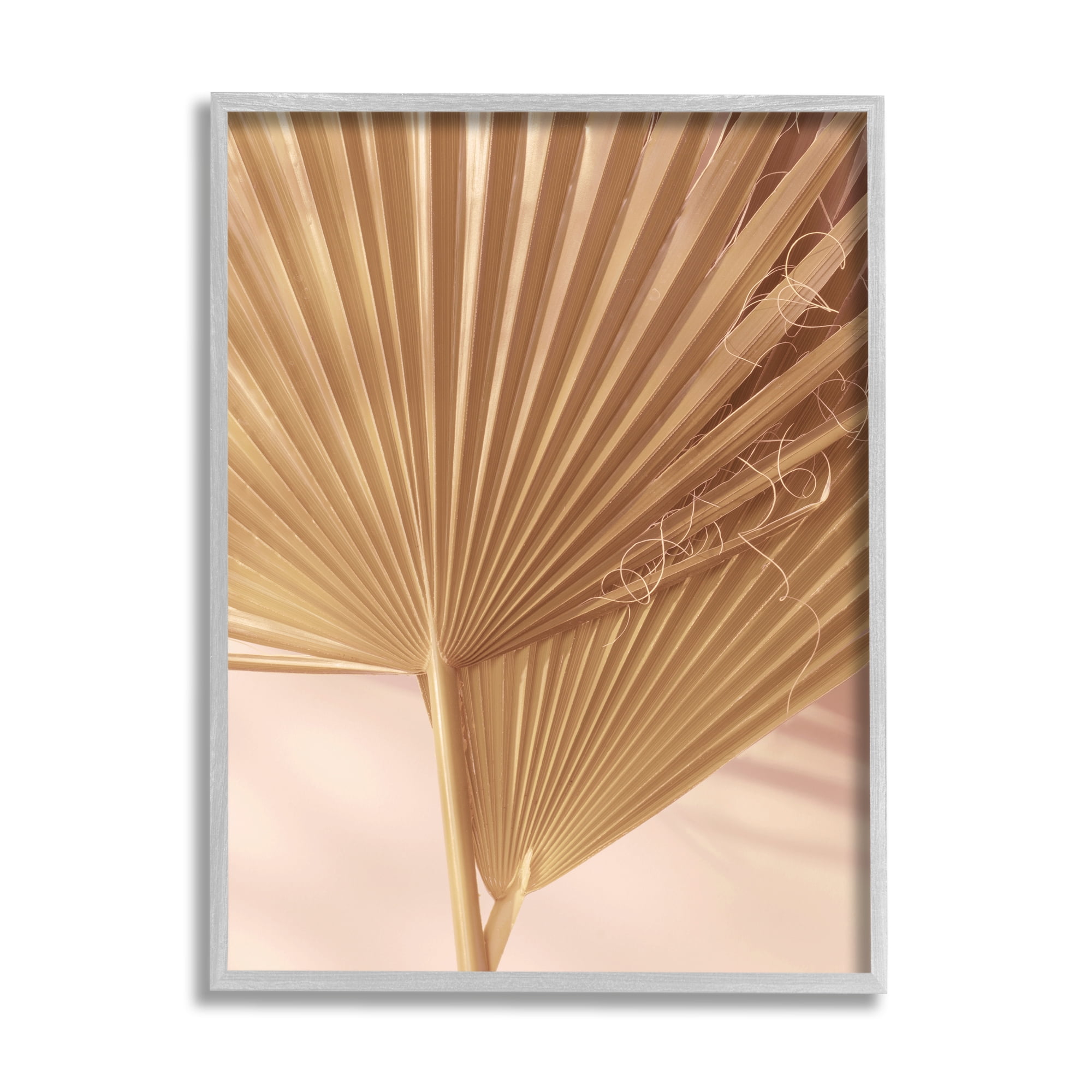 Stupell Industries Two Palm Fronds Sun Bleached Photography Tropical Plants, 16 x 20, Design by Ian Winstanley