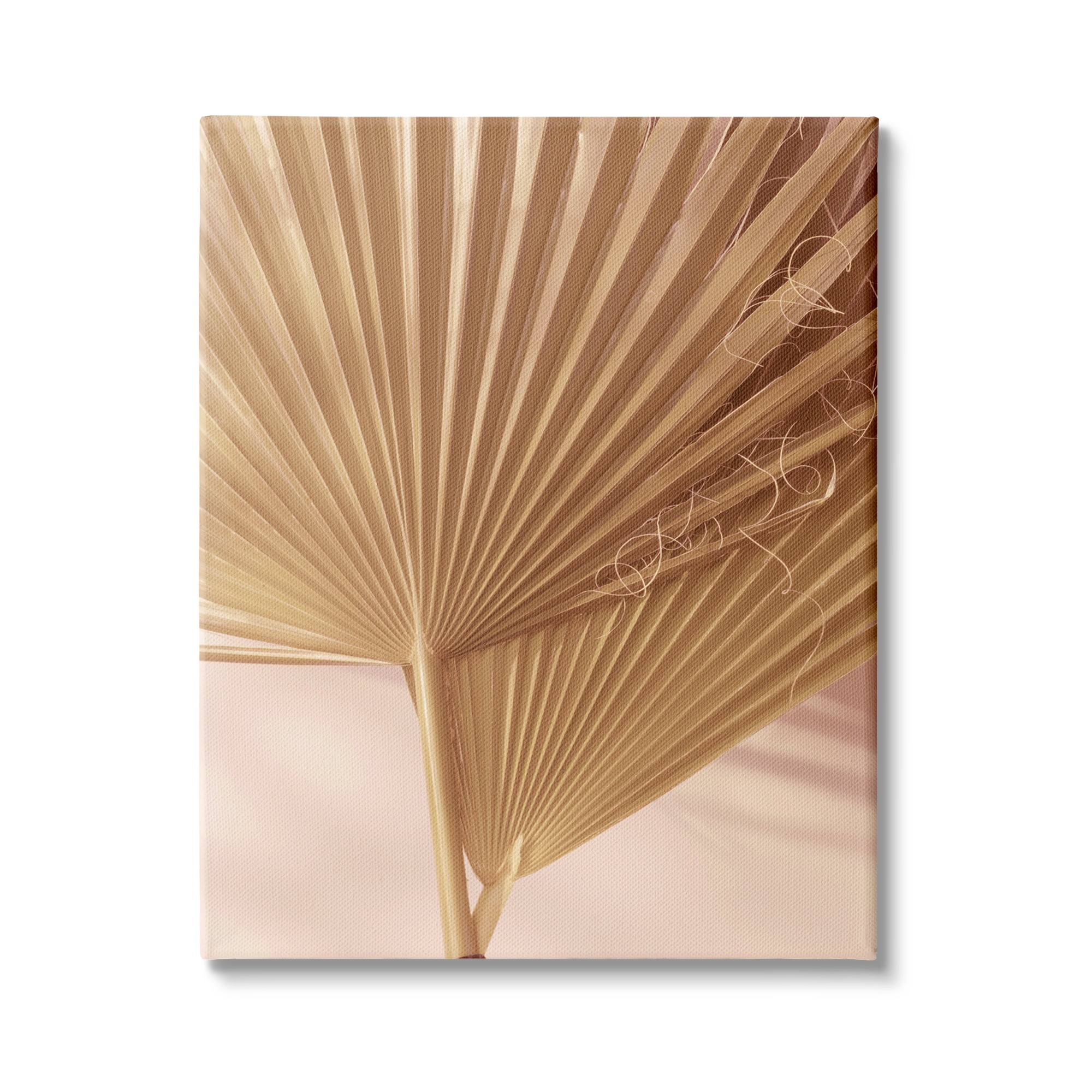 Stupell Industries Two Palm Fronds Sun Bleached Photography Tropical Plants, 16 x 20, Design by Ian Winstanley
