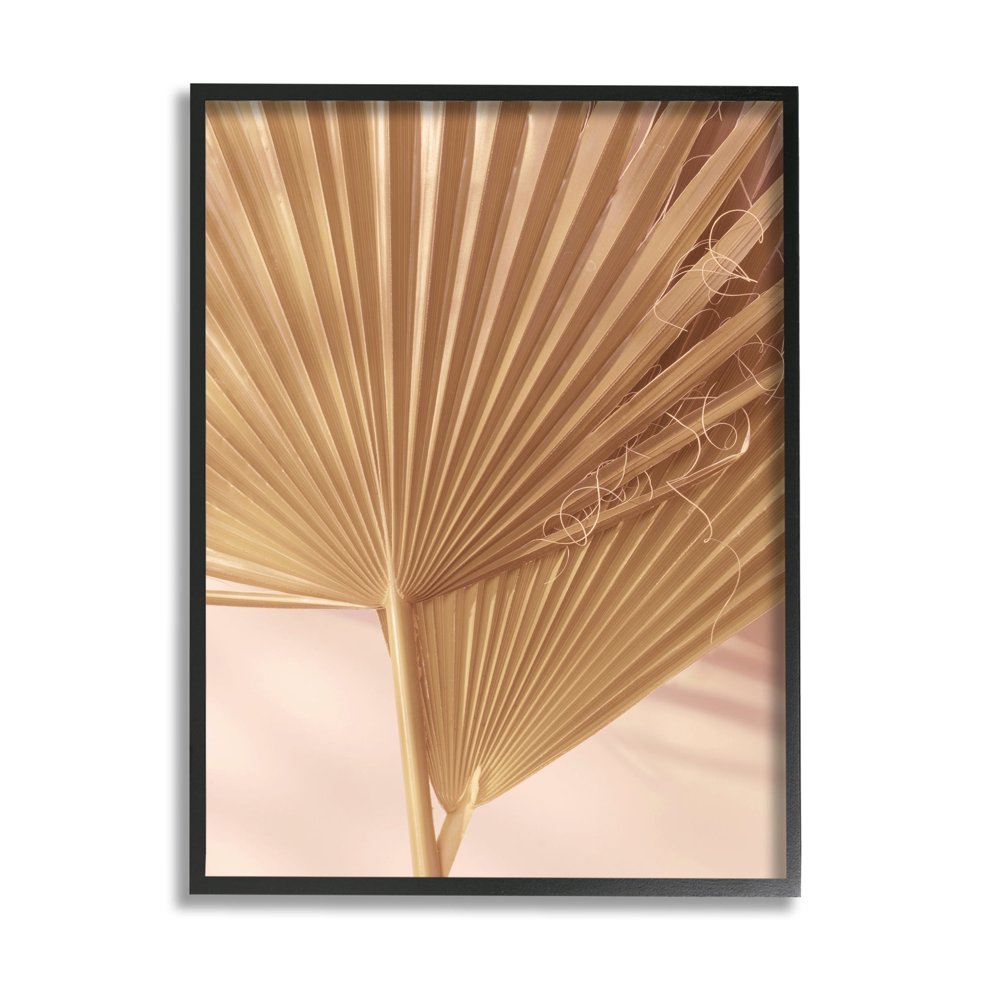 Stupell Industries Two Palm Fronds Sun Bleached Photography Tropical Plants, 16 x 20, Design by Ian Winstanley