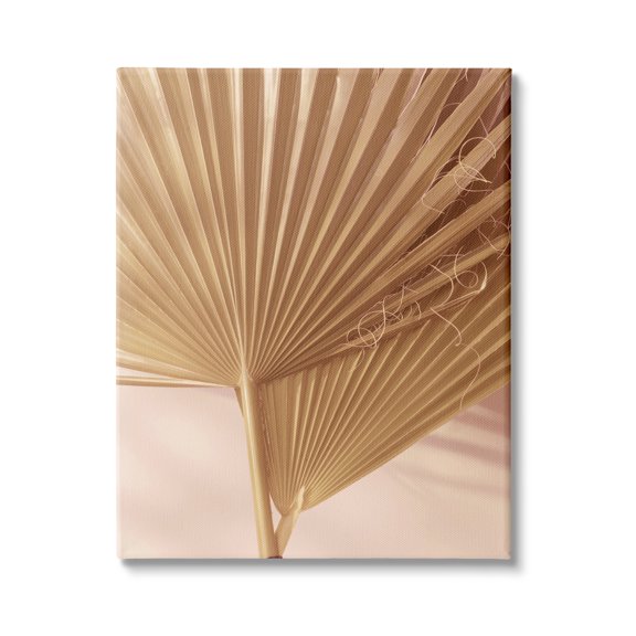 Stupell Industries Two Palm Fronds Sun Bleached Photography Tropical Plants, 24 x 30, Design by Ian Winstanley