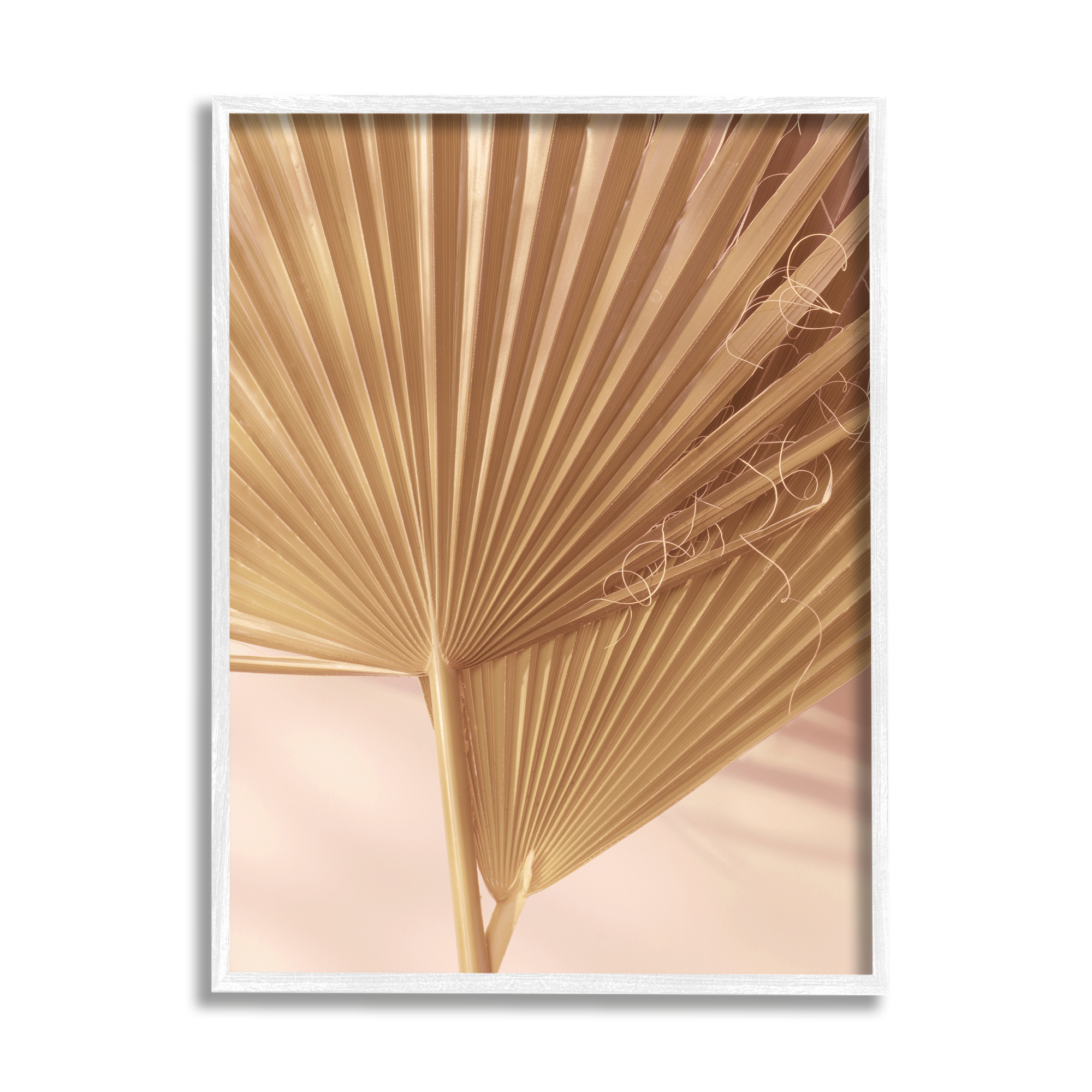 Stupell Industries Two Palm Fronds Sun Bleached Photography Tropical Plants, 24 x 30, Design by Ian Winstanley