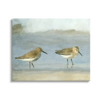 Stupell Industries Two Sandpipers Stepping Beach Shore Painting Gallery Wrapped Canvas Print Wall Art, Design by Kim Allen