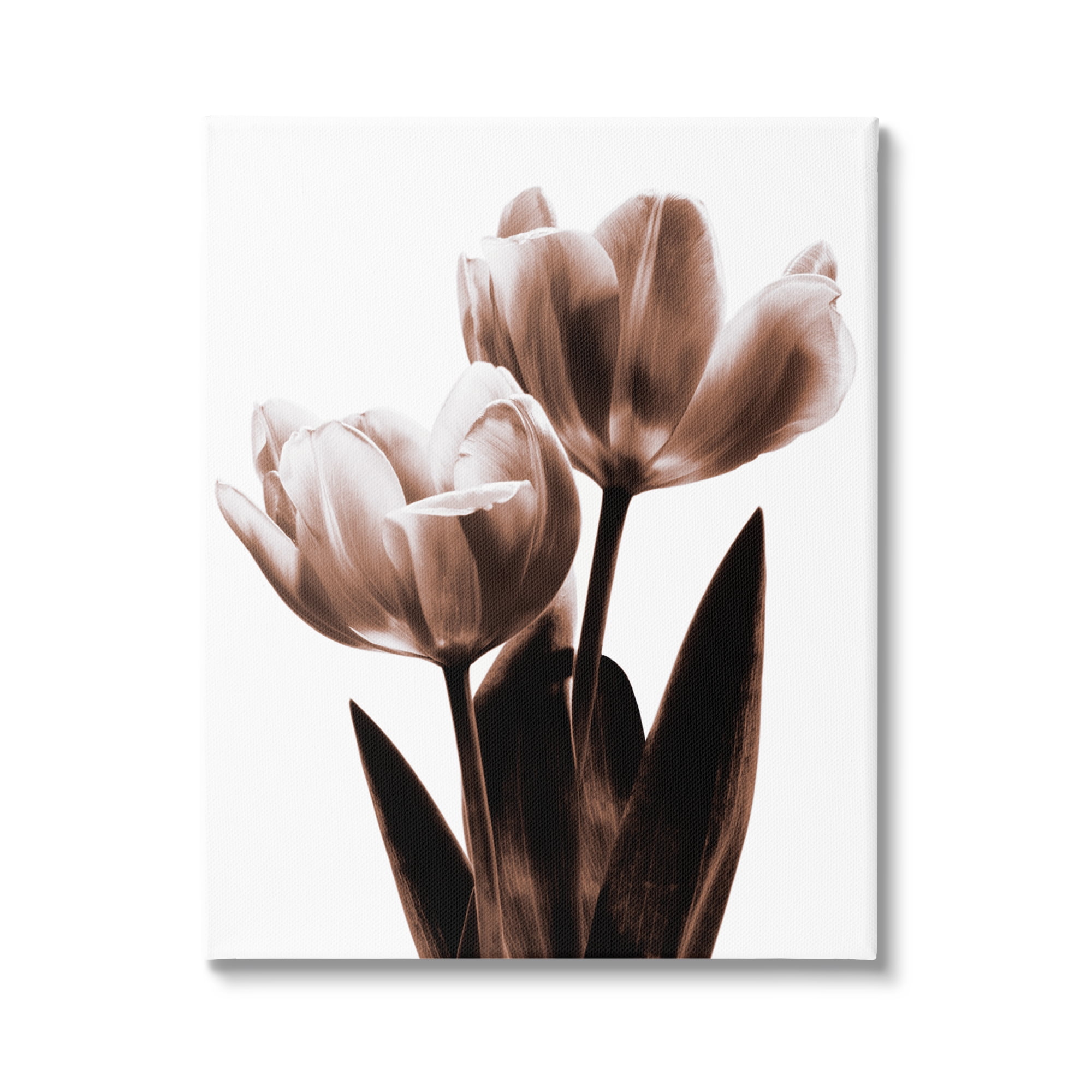 Stupell Industries Two Tulips Photography Botanical & Floral Photography Gallery Wrapped Canvas Print Wall Art, 36 x 48