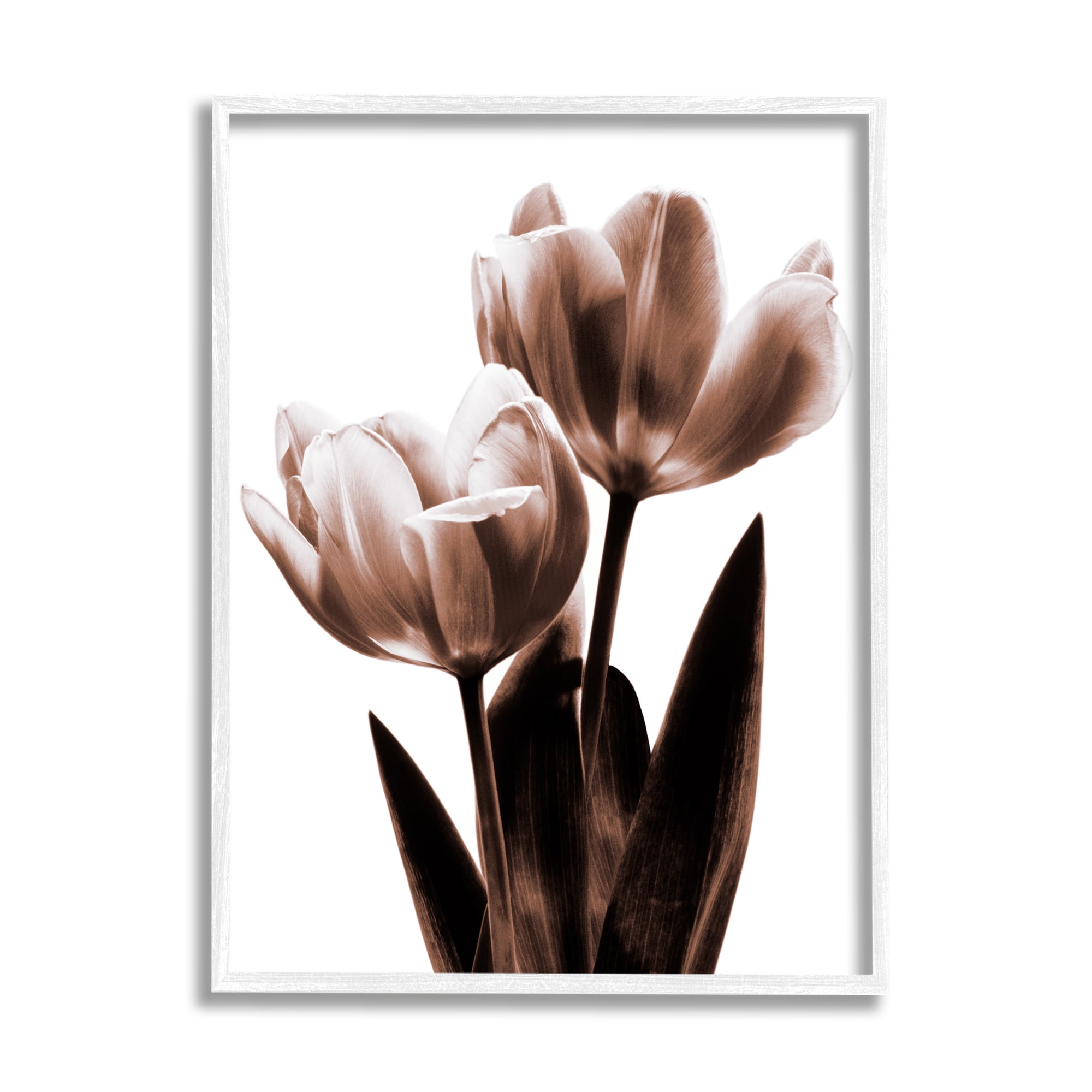 White Framed Botanical Tulip Print on Canvas, 11" x 14"