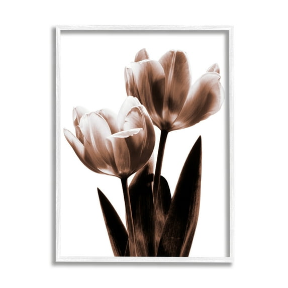 Stupell Industries Two Tulips Photography Botanical & Floral Photography White Framed Art Print Wall Art, 11 x 14