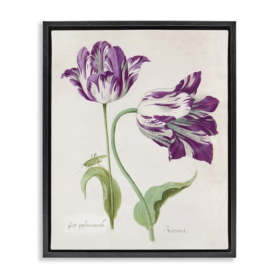 Stupell Industries Two Tulips Purple Florals Black Framed Floater Canvas Wall Art design by Jacob Marell, 31 x 25