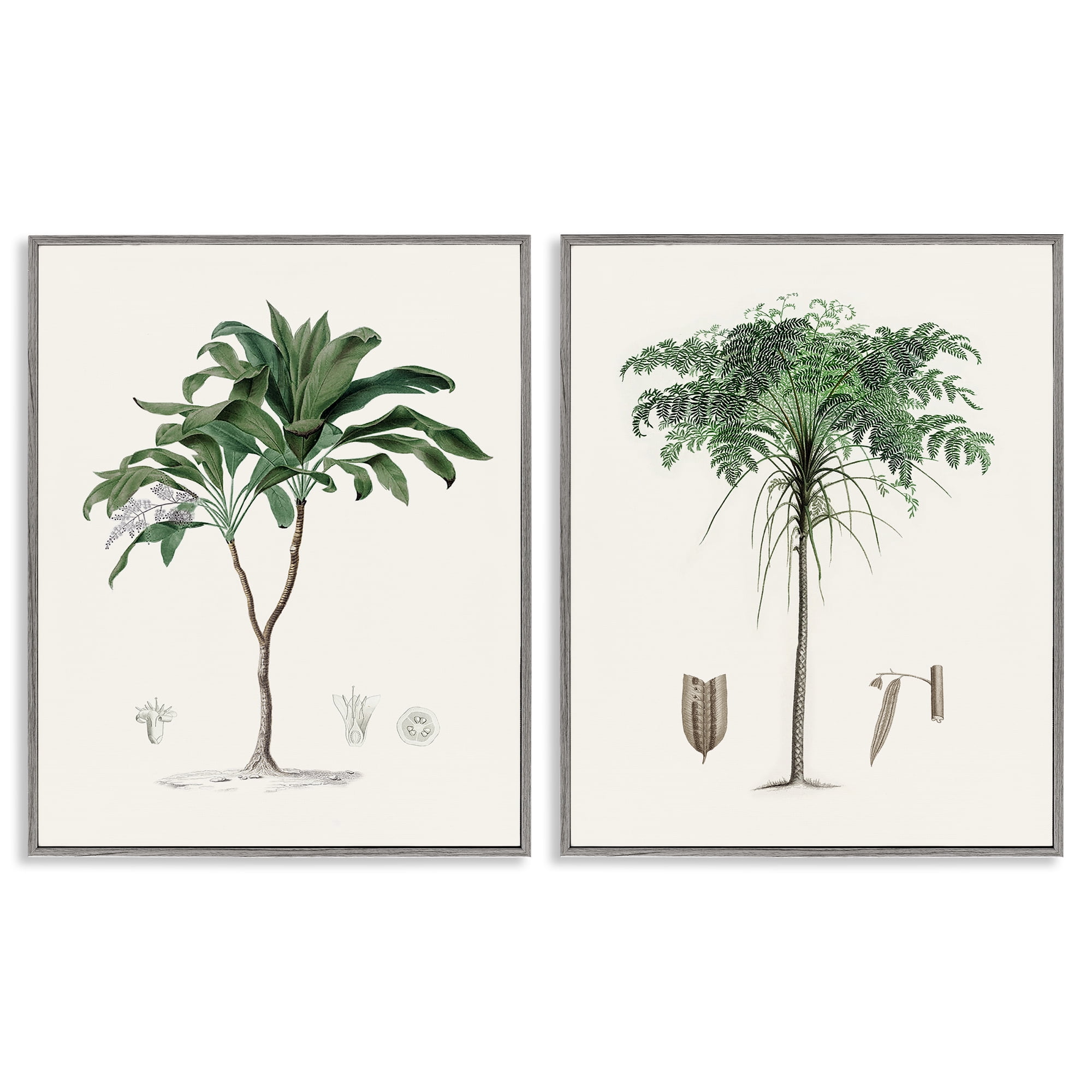 Stupell Industries Two Types of Palms 2 Piece Gray Framed Giclee Art Set, design by Val Rhodes