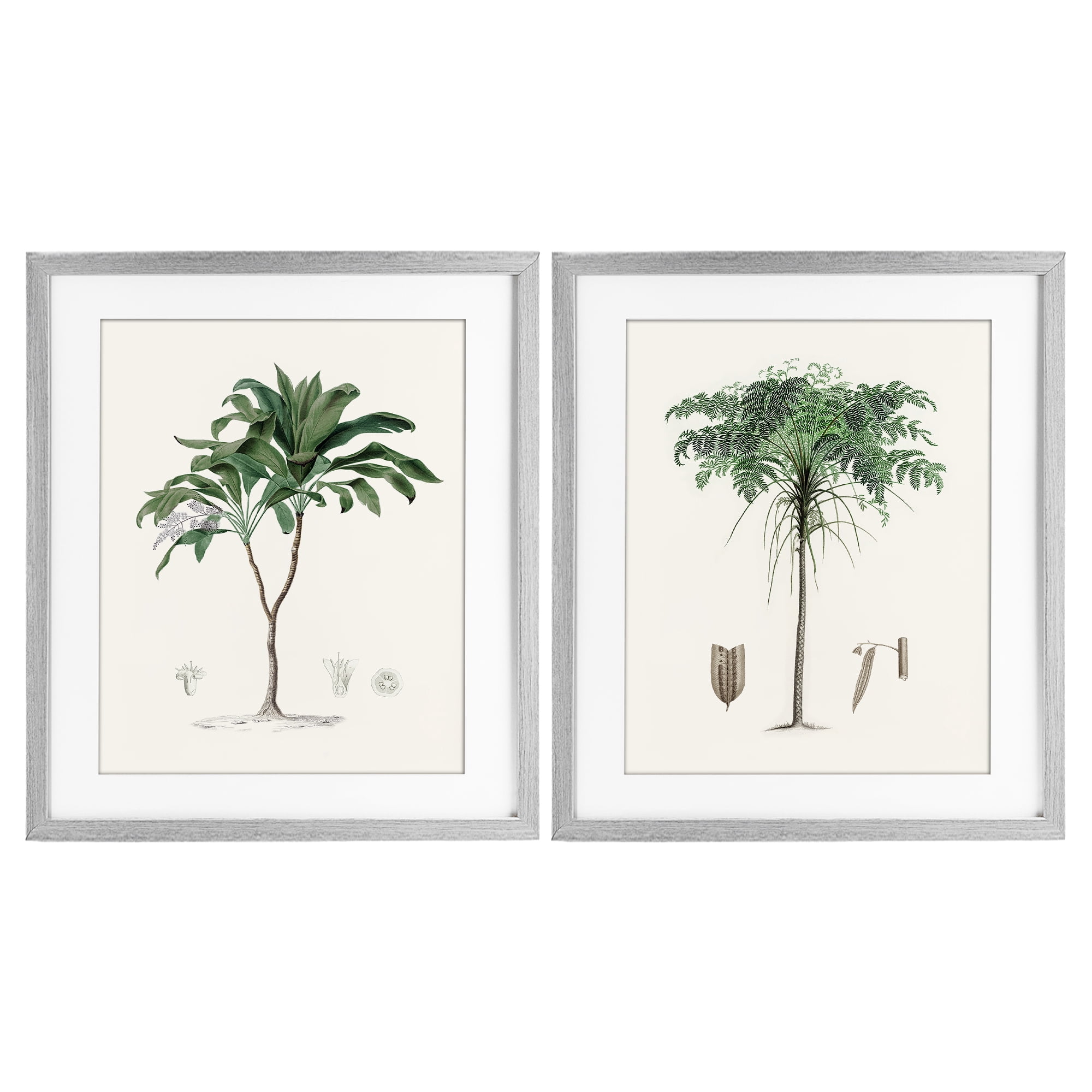 Stupell Industries Two Types of Palms 2 Piece Gray Framed Print Under Glass Set, design by Val Rhodes