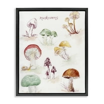 Stupell Industries Types Of Mushrooms Botanical & Floral Painting Black Floater Framed Art Print Wall Art, 17 x 21