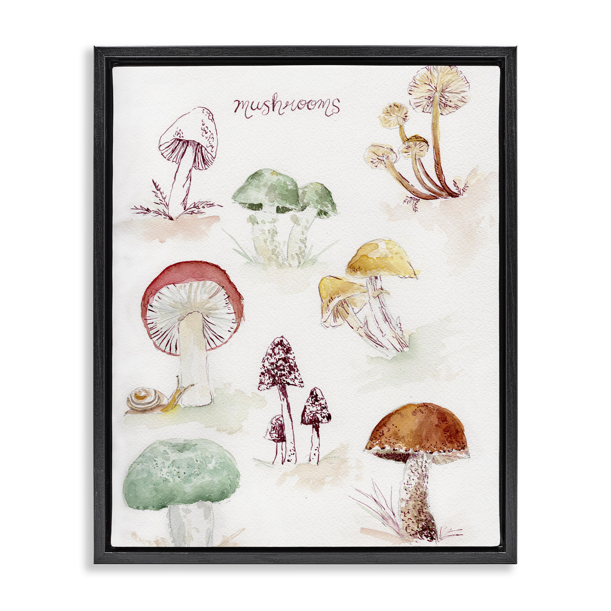 Stupell Industries Types Of Mushrooms Botanical & Floral Painting Black Floater Framed Art Print Wall Art, 25 x 31