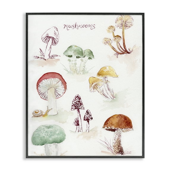 Stupell Industries Types Of Mushrooms Botanical & Floral Painting Black Framed Art Print Wall Art, 11 x 14