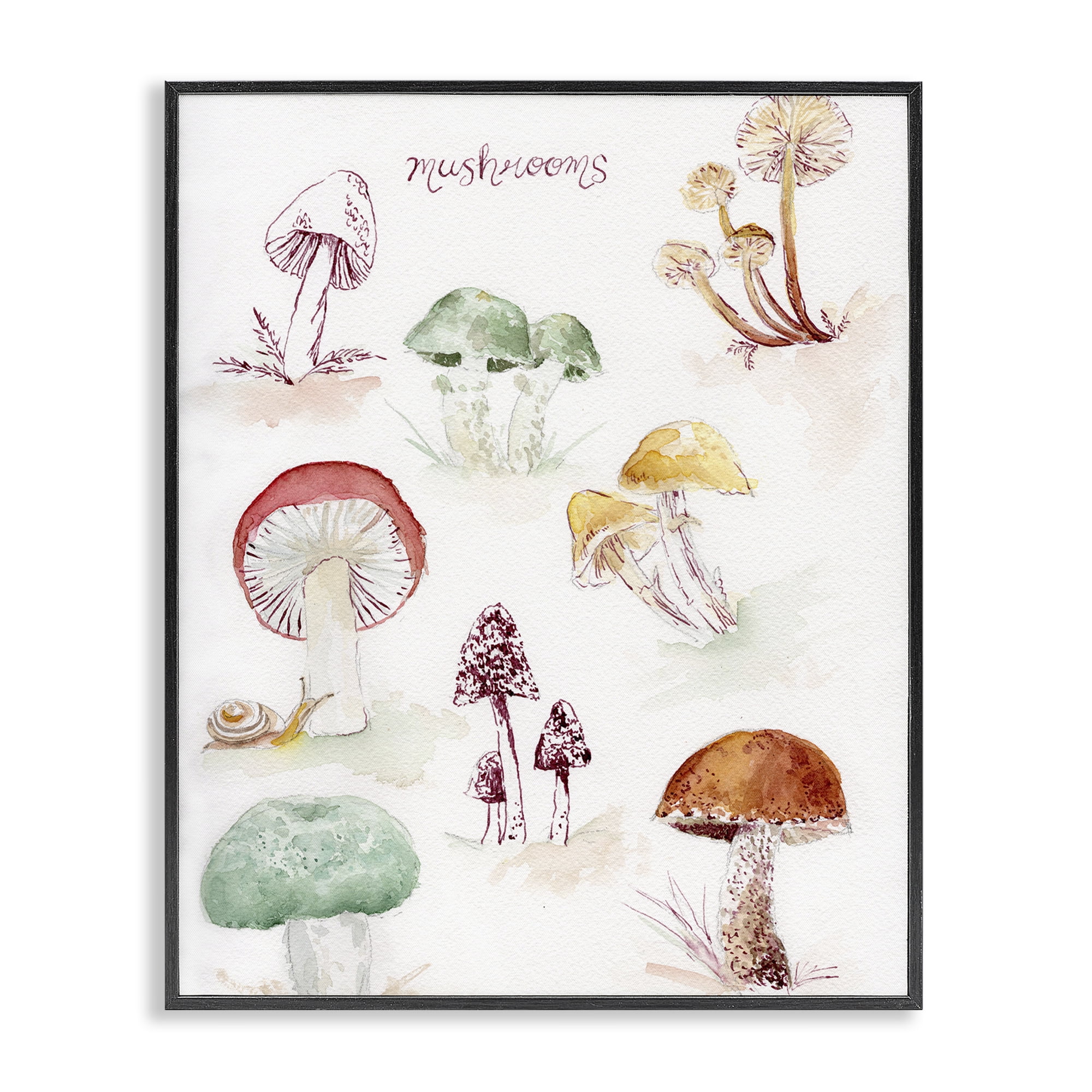 Stupell Industries Types Of Mushrooms Botanical & Floral Painting Black Framed Art Print Wall Art, 16 x 20