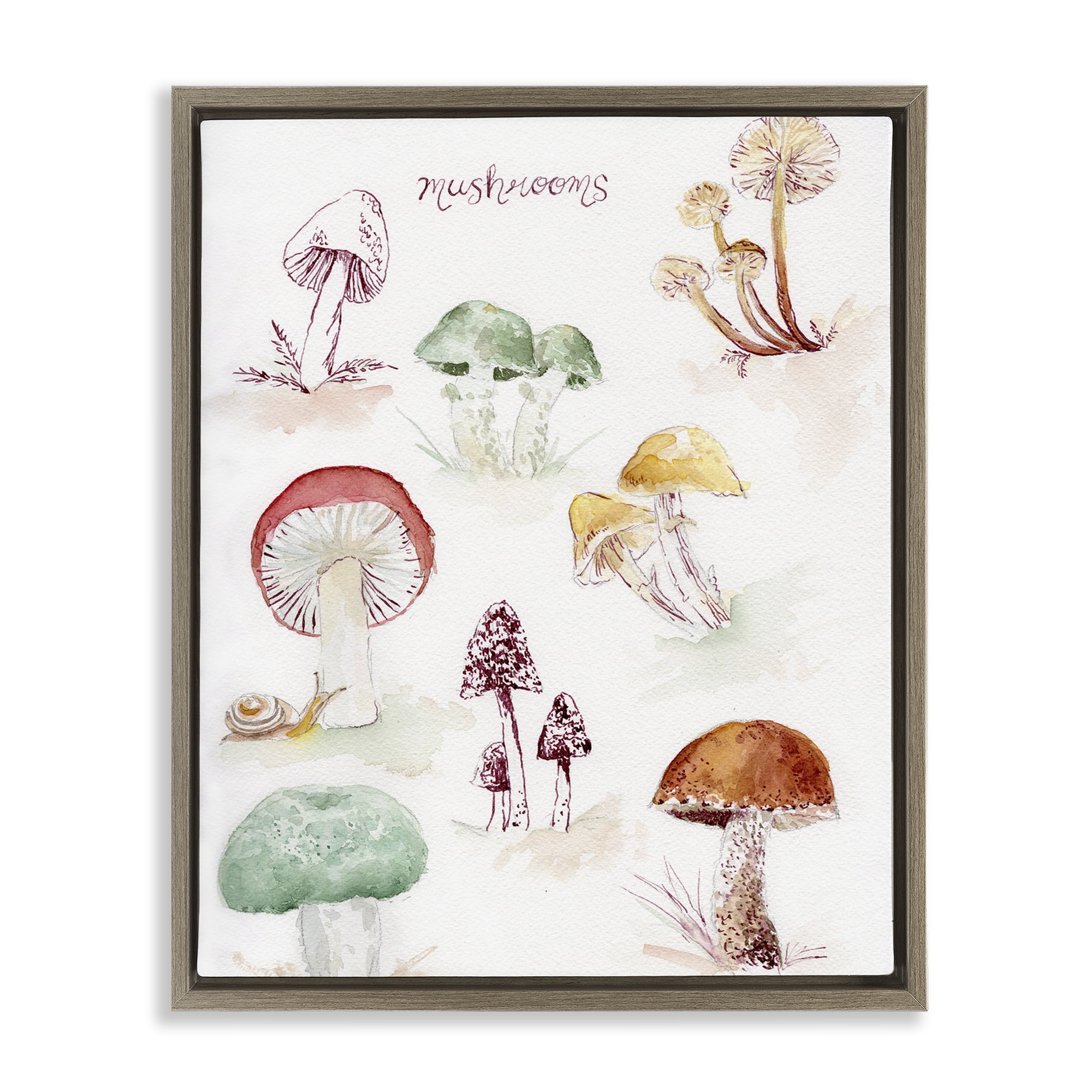 Stupell Industries Types Of Mushrooms Botanical & Floral Painting Brown Floater Framed Art Print Wall Art, 17 x 21