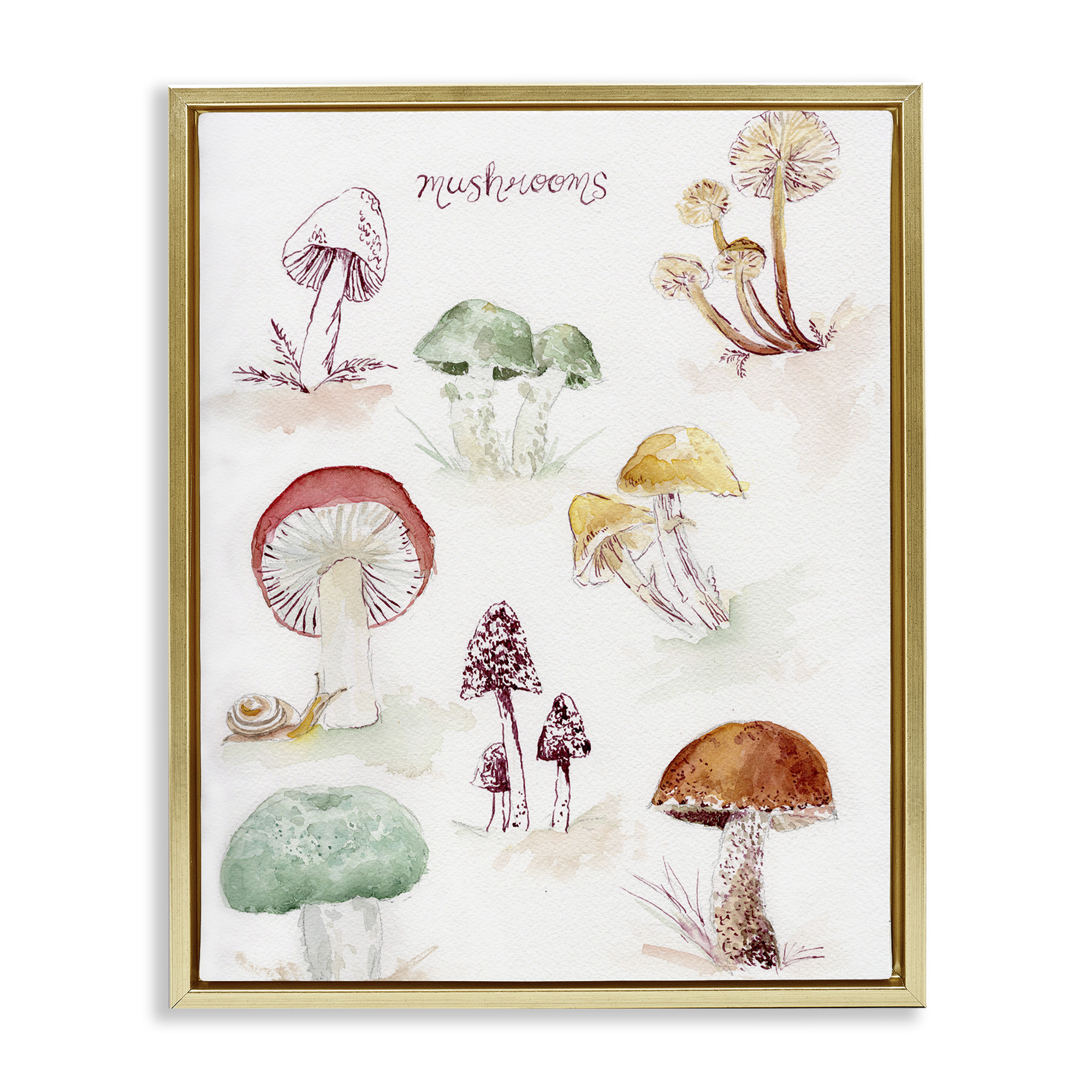 Stupell Industries Types Of Mushrooms Botanical & Floral Painting Gold Floater Framed Art Print Wall Art, 17 x 21
