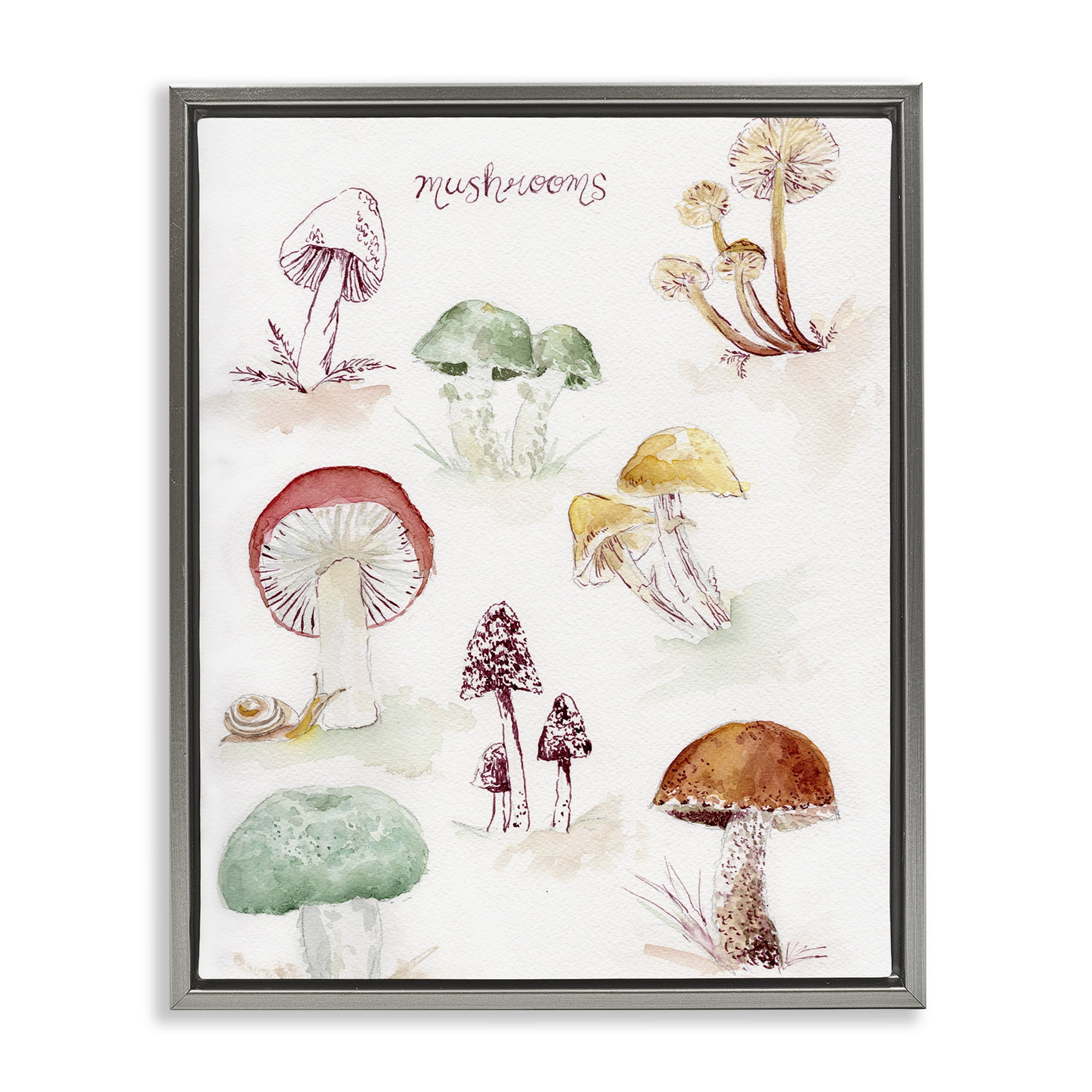 Gray Framed Botanical Mushroom Canvas Print, 17 x 21