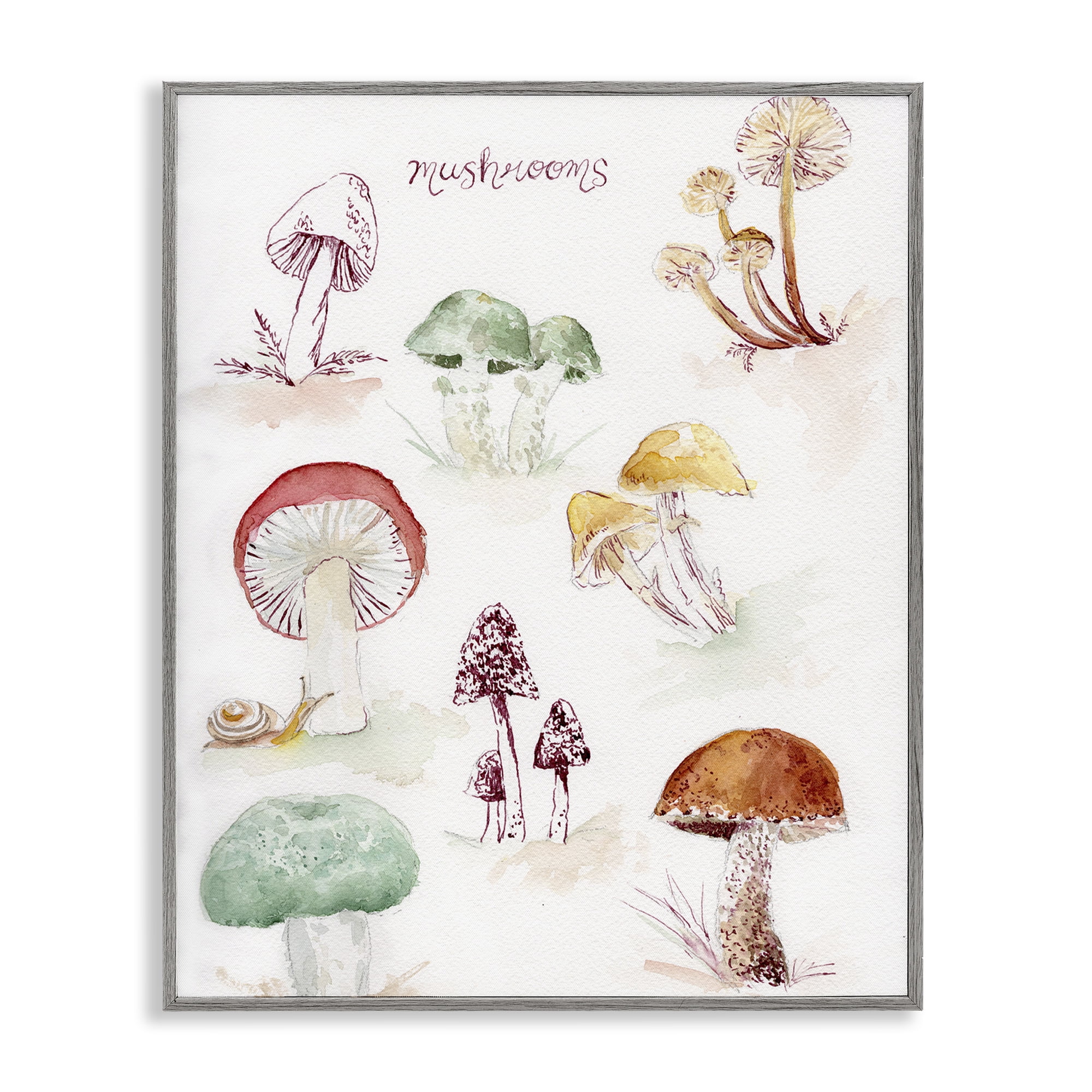 Stupell Industries Types Of Mushrooms Botanical & Floral Painting Gray Framed Art Print Wall Art, 24 x 30