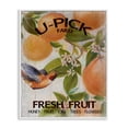 thumbnail image 1 of Stupell Industries Cottage U-Pick Fresh Fruit Farm White Framed Giclee Art, 24 x 30, by Diannart, 1 of 8