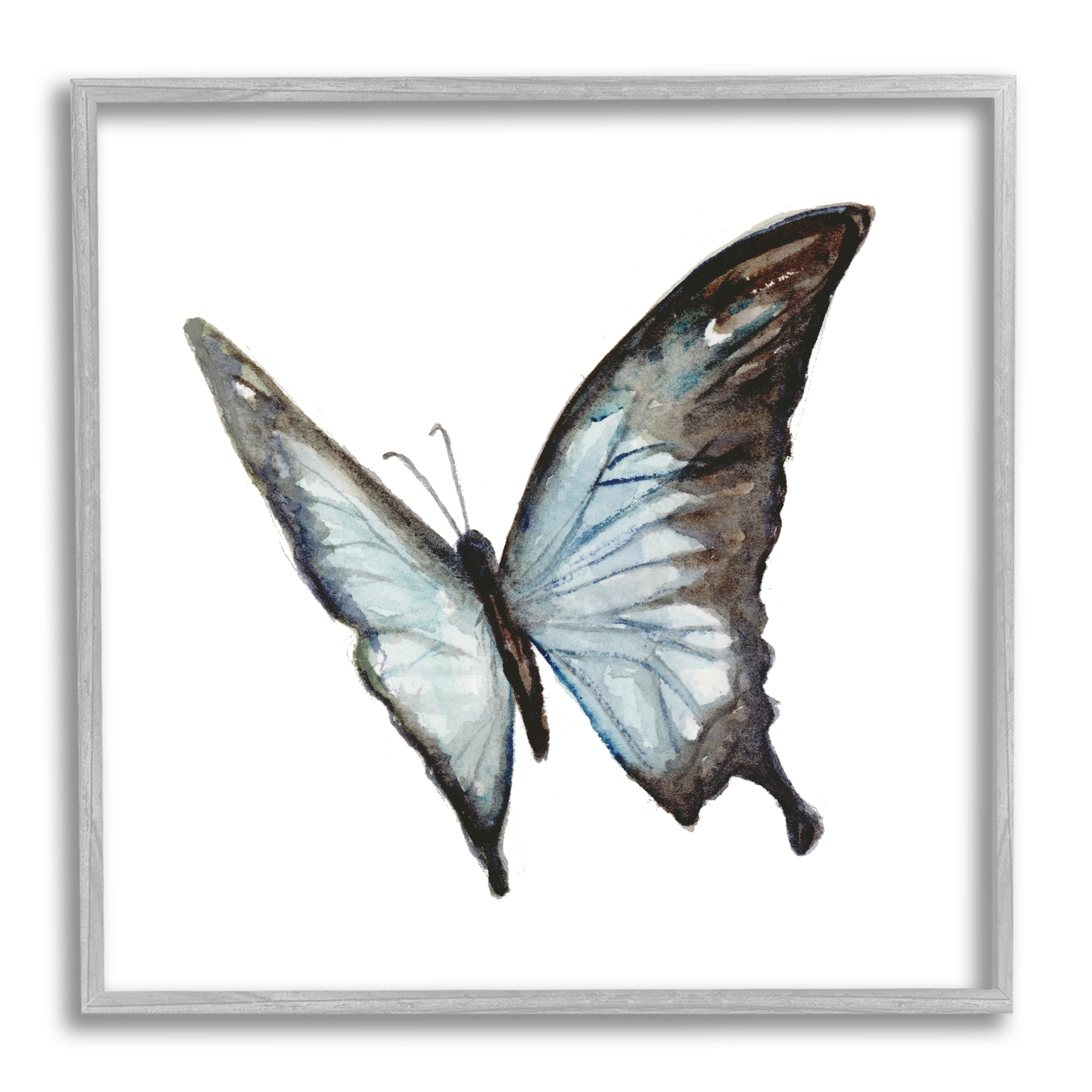 Stupell Industries Ulysses Butterfly Children's Nursery Insect Watercolor Painting, 12 x 12,Design by Fox Hollow Studios
