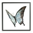 thumbnail image 1 of Stupell Industries Ulysses Butterfly Children's Nursery Insect Watercolor Painting, 12 x 12,Design by Fox Hollow Studios, 1 of 5
