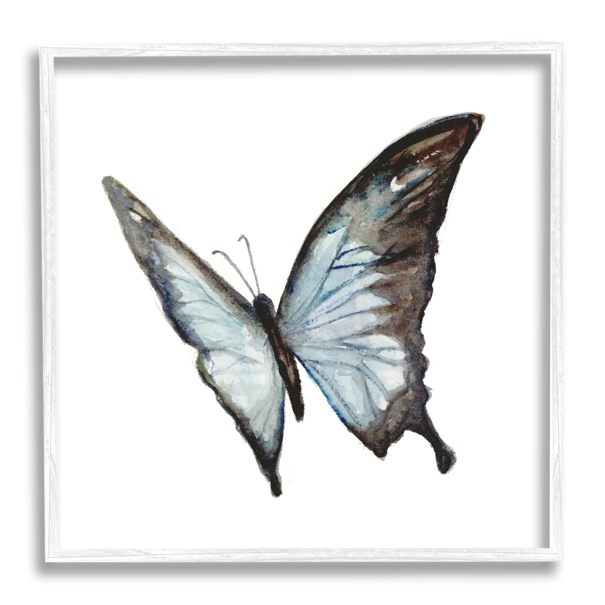 Stupell Industries Ulysses Butterfly Children's Nursery Insect Watercolor Painting, 17 x 17,Design by Fox Hollow Studios