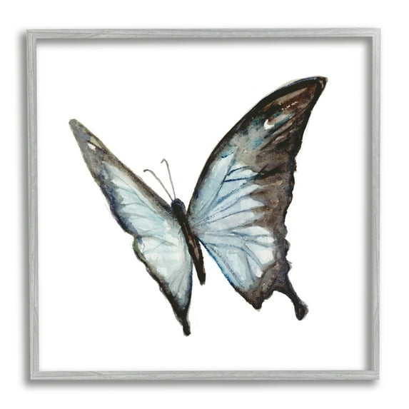 Stupell Industries Ulysses Butterfly Children's Nursery Insect Watercolor Painting, 24 x 24,Design by Fox Hollow Studios
