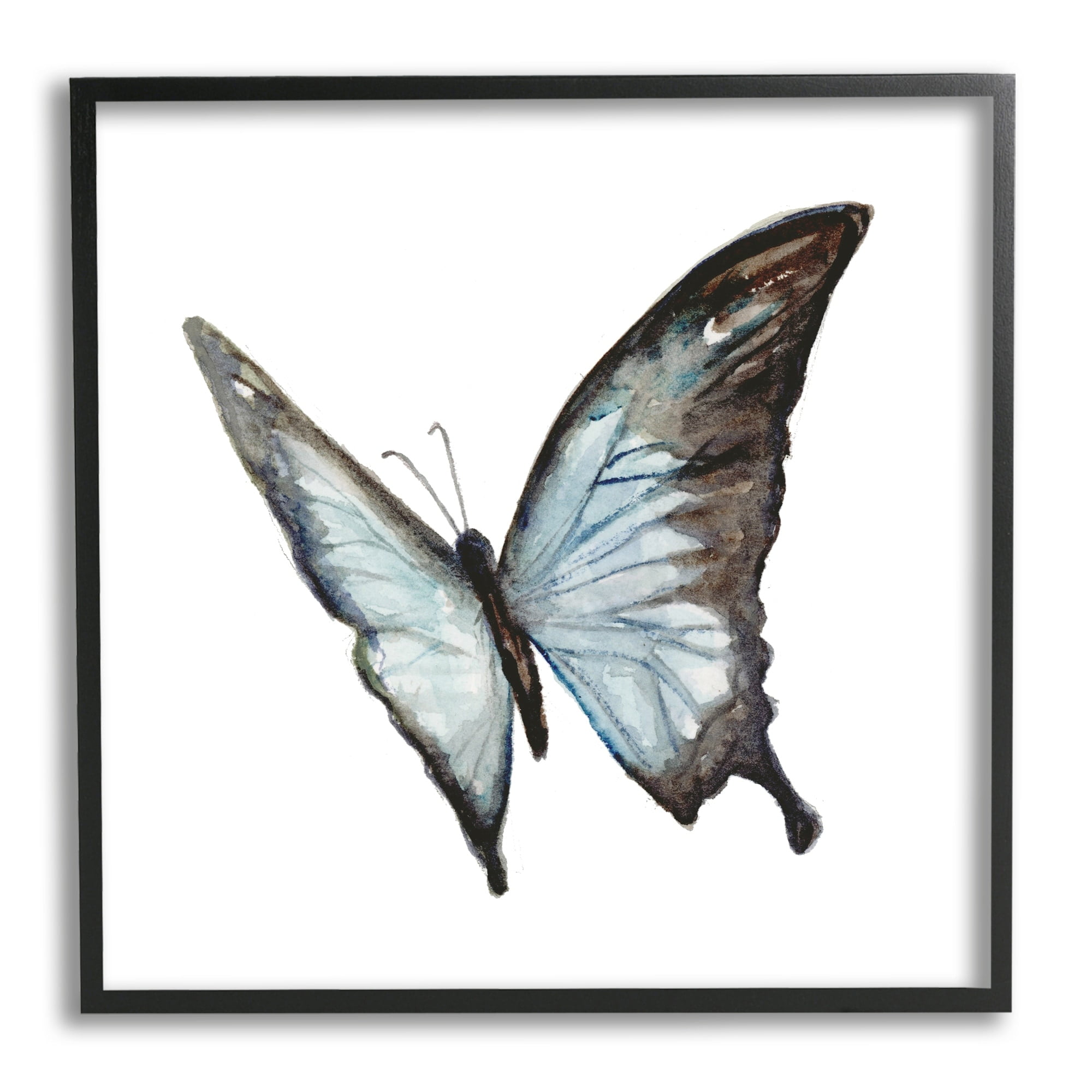 Stupell Industries Ulysses Butterfly Children's Nursery Insect Watercolor Painting, 24 x 24,Design by Fox Hollow Studios