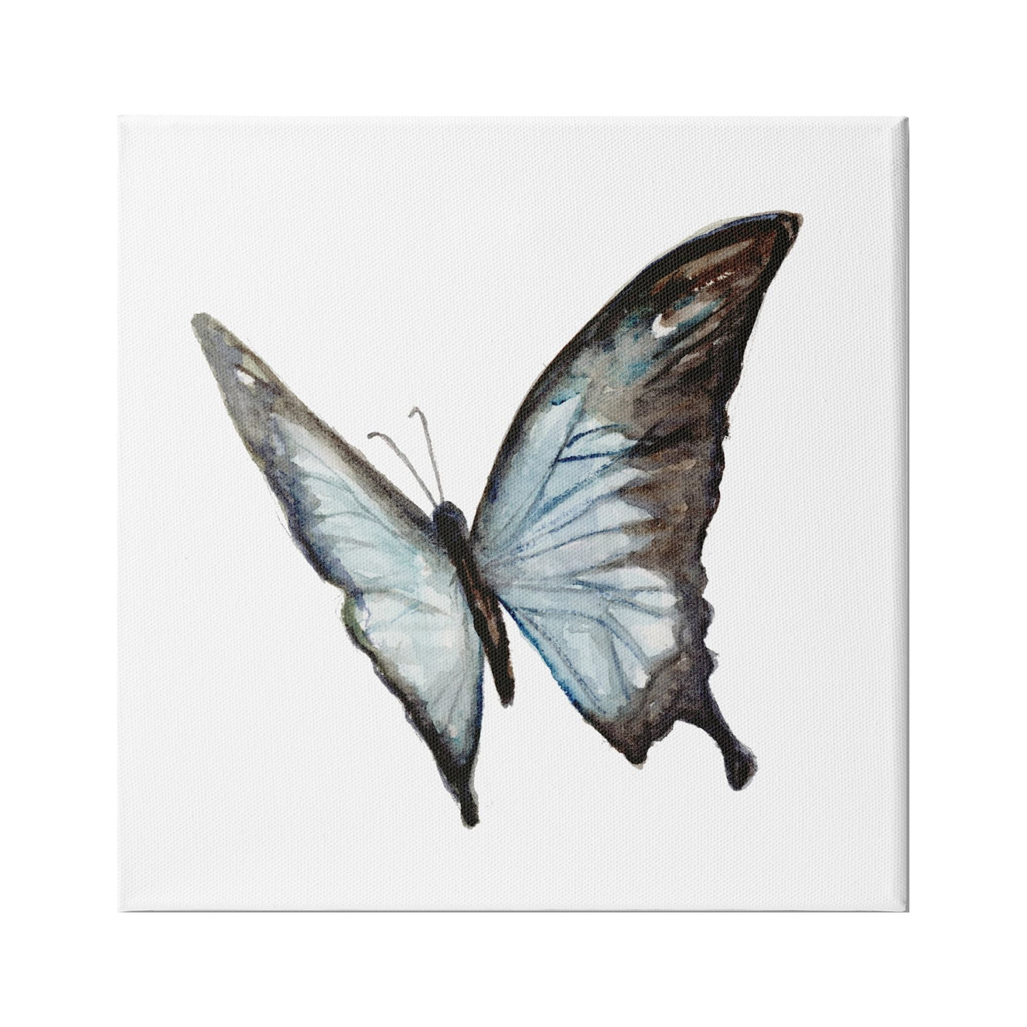 Stupell Industries Ulysses Butterfly Children's Nursery Insect Watercolor Painting, 30 x 30,Design by Fox Hollow Studios
