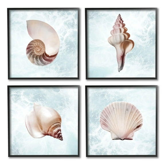 Stupell Industries Underwater Sea Life Shells Graphic Art Black Framed Art Print Wall Art, Set of 4, Design by Marcus Prime