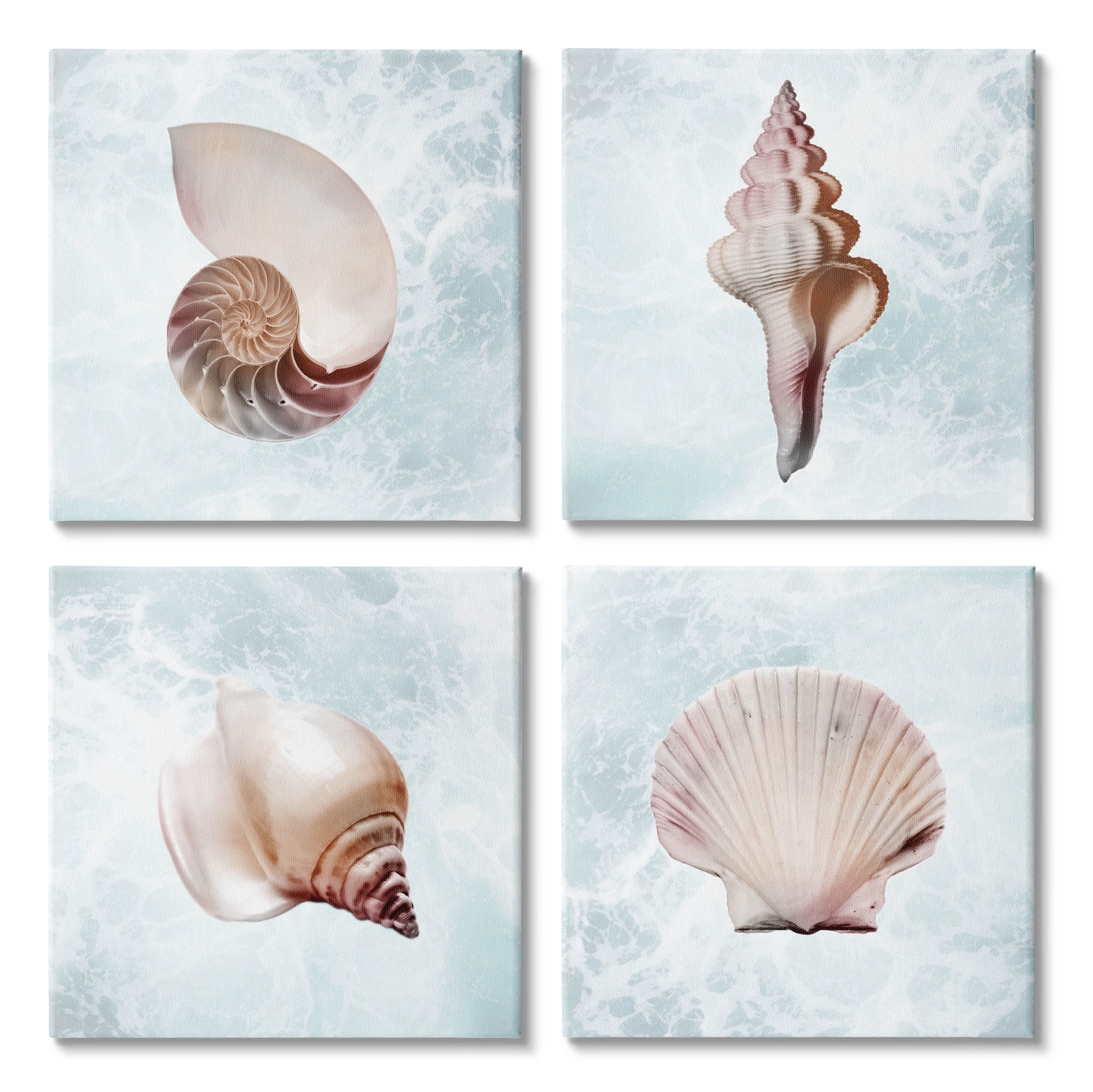 Stupell Industries Underwater Sea Life Shells Graphic Art Gallery Wrapped Canvas Print Wall Art, Set of 4, Design by Marcus Prime