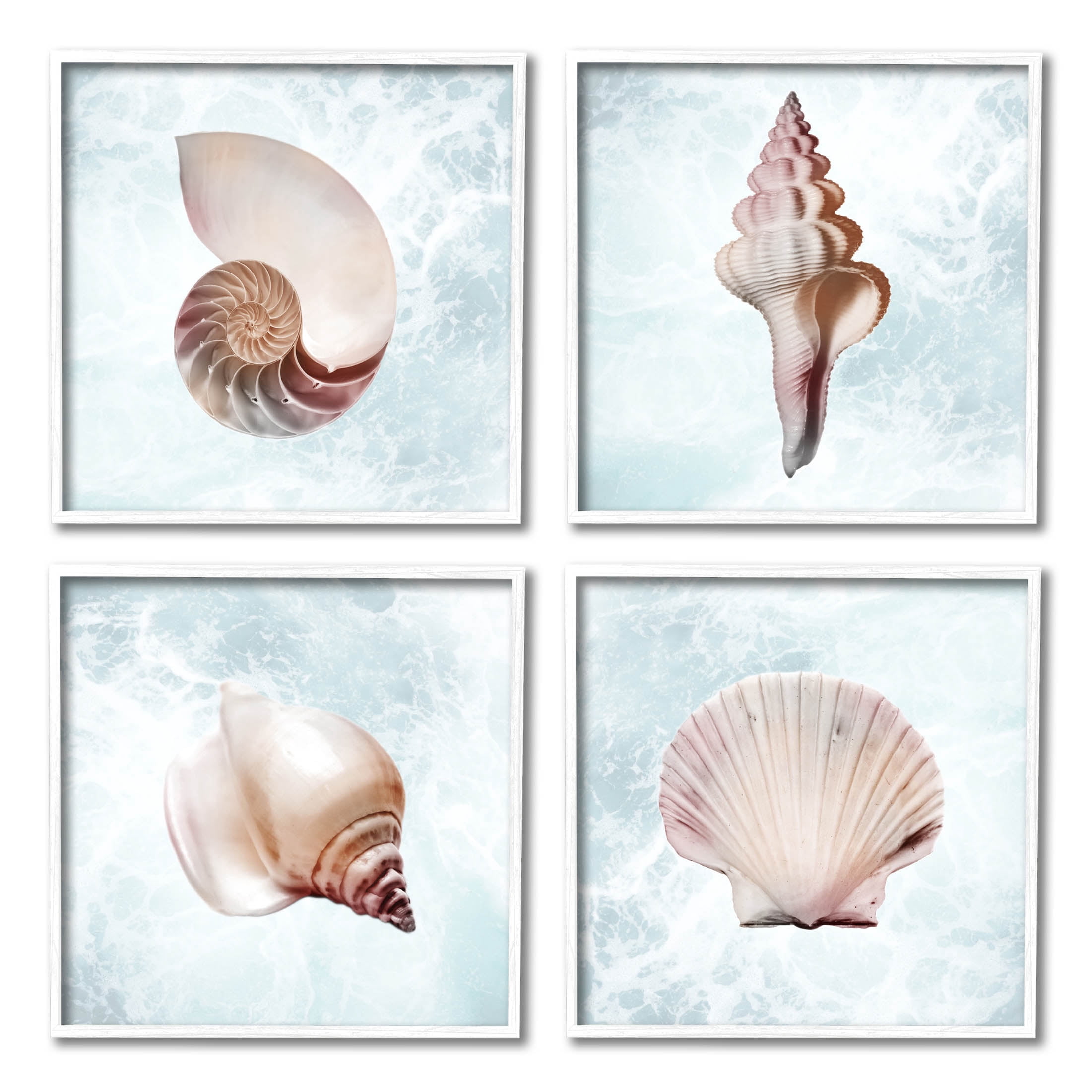 Stupell Industries Underwater Sea Life Shells Graphic Art White Framed Art Print Wall Art, Set of 4, Design by Marcus Prime