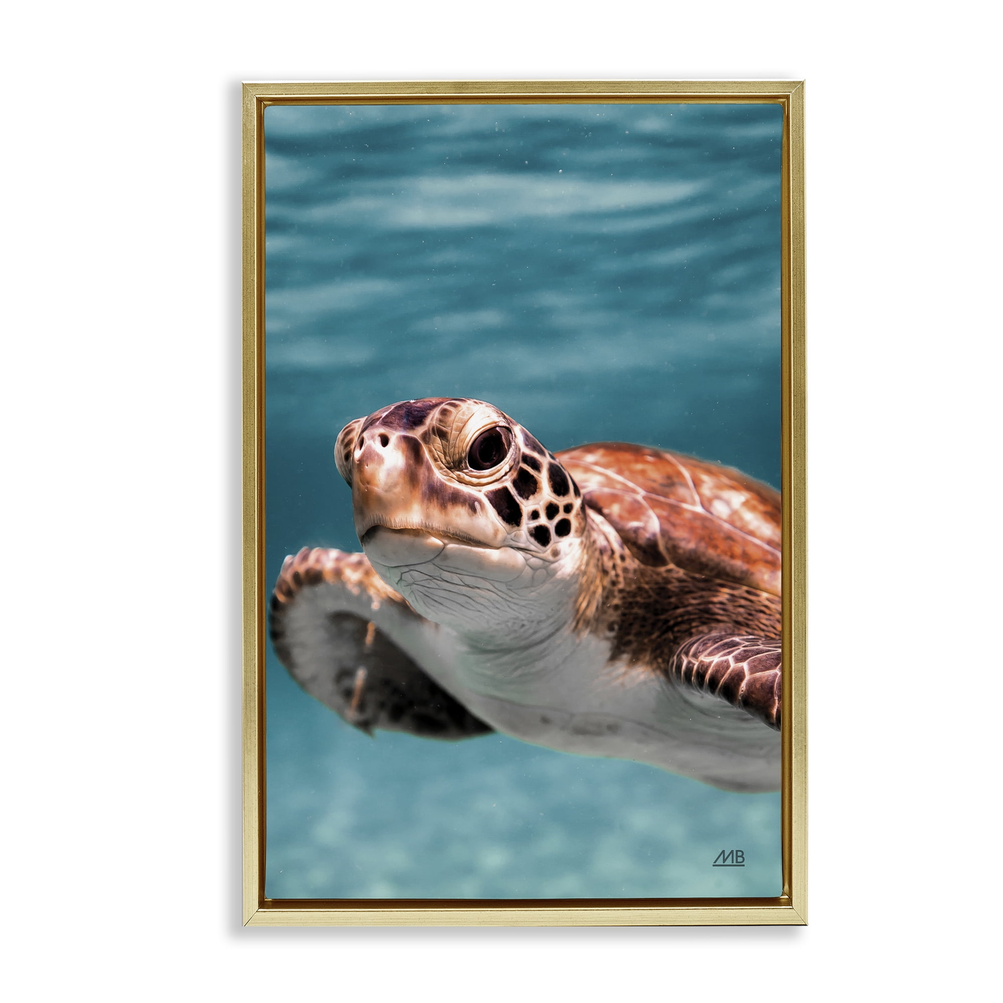 Stupell Industries Underwater Sea Turtle Swim Animals Photography Gold Floater Framed Canvas Art Print Wall Art, 17 x 25