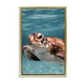 thumbnail image 1 of Stupell Industries Underwater Sea Turtle Swim Animals Photography Gold Floater Framed Canvas Art Print Wall Art, 17 x 25, 1 of 10