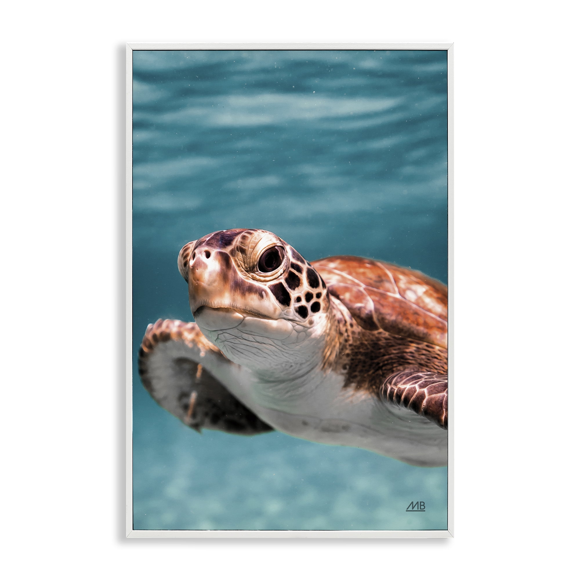 Stupell Industries Underwater Sea Turtle Swim Animals Photography White Framed Art Print Wall Art, 16 x 24