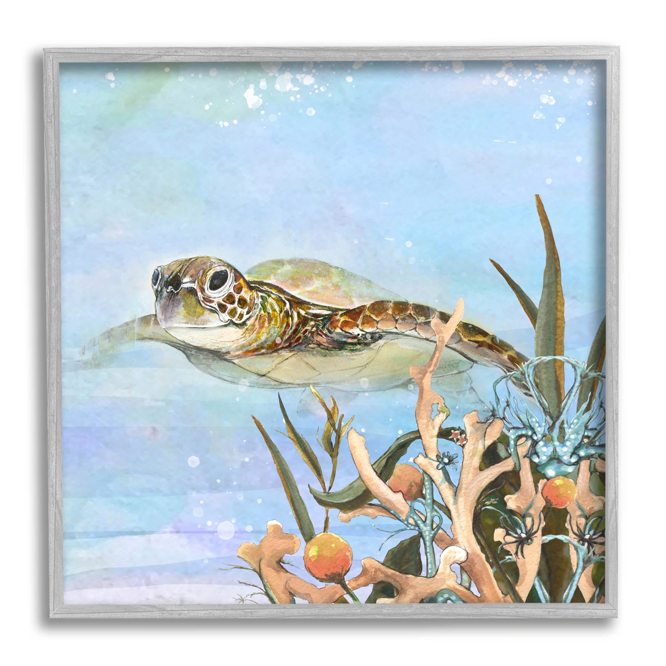Gray Framed Sea Turtle Canvas Print 12" x 12"