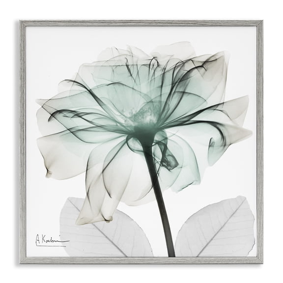Stupell Industries Unique Chic Flower Petal Floral Photography Gray Framed Art Print Wall Art, 12 x 12