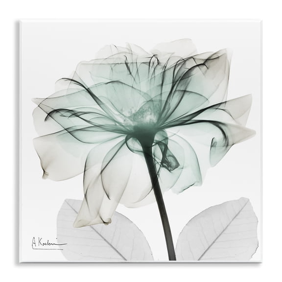Stupell Industries Unique Chic Flower Petal Floral Photography Unframed Art Print Wall Art, 12 x 12